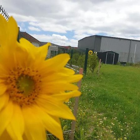 Chambre Calme Dans Une Maison Neuve Avec Jardin Billere Exteriör bild